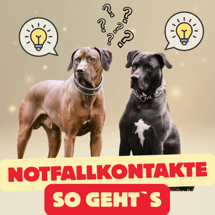 Notfallkontakte (2) Notfallkontakte so geht*s